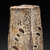 Square Vase
