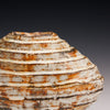 Small Fluted Ovoid  Vase