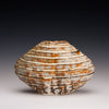 Small Fluted Ovoid  Vase