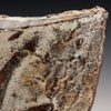 Kohiki Shield Vase