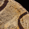 Large Salad Bowl