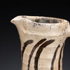 Pitcher with Finger Wipes